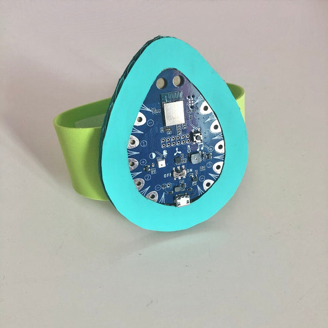 Bluebird smart wristband paper project